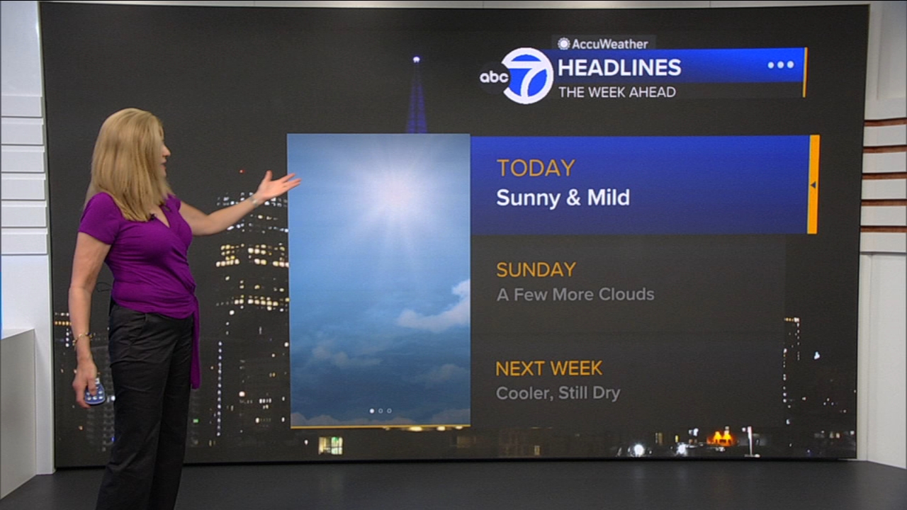 AccuWeather Forecast: Sunny and mild
— ABC 7 Bay Area, Frisco Community news