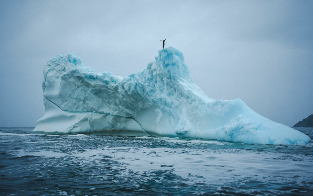 Cliff diver Molly Carson makes history, becomes first woman to dive off iceberg — WPBF Sports Palm Beach, Frisco Sports news